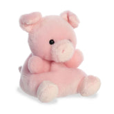 Wizard Pig™